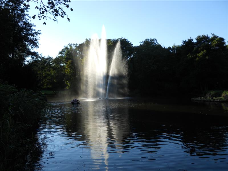 DSCN0934 (Medium).jpg